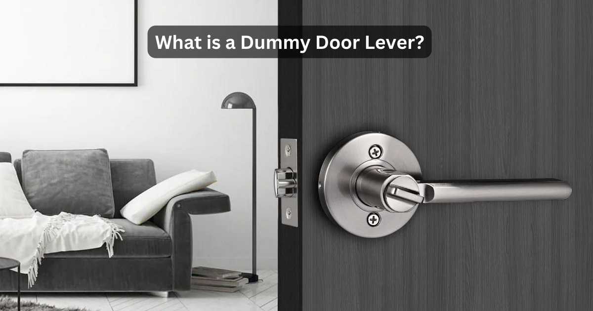 What does door dummy mean
